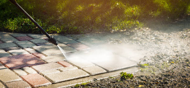 Best Gutter Cleaning  in Aurora, SD